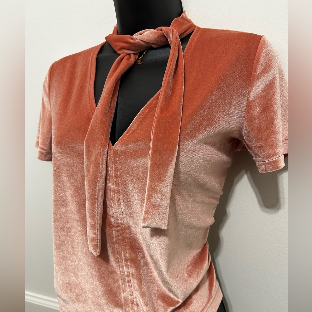 Madewell Coral Velvet Tie-Up Top - Picture 4 of 4